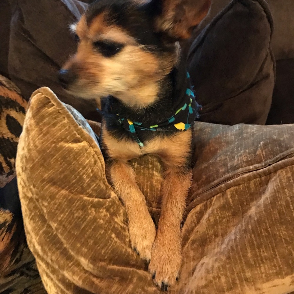 Lovin’ life Lola❤️